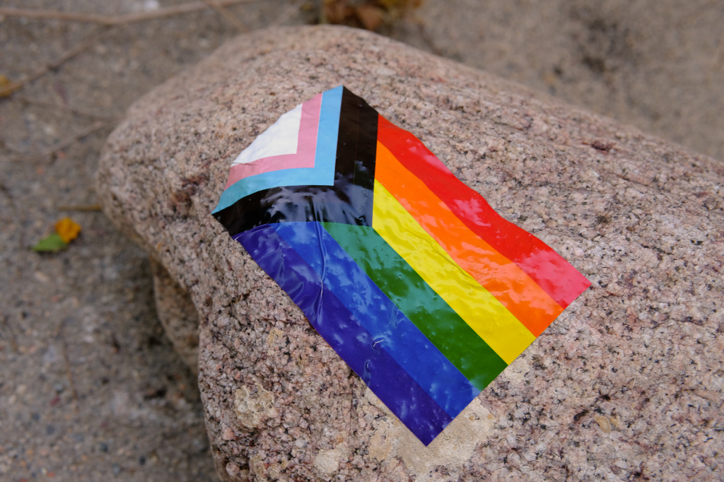 A progress pride sticker applied to a tree.