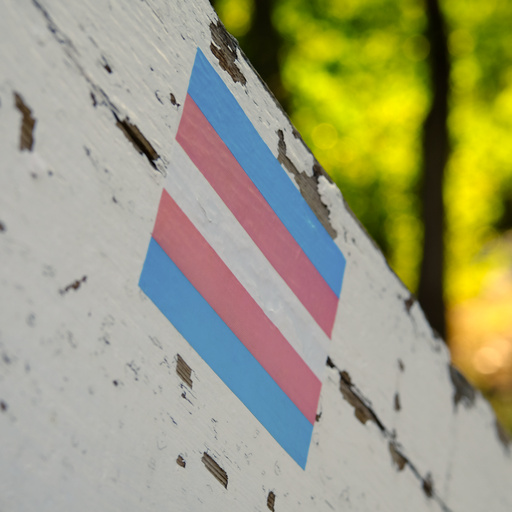 A trans pride sticker applied to a wooden railing with flaking white paint.